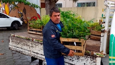 Semana do meio ambiente é marcada por entrega de mudas na Cerpalo