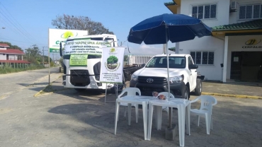 Doação de árvores nativas no Dia da Árvore!