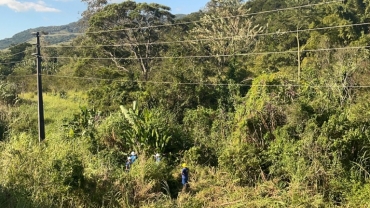 Cerpalo realiza poda de árvores para prevenir riscos na rede elétrica