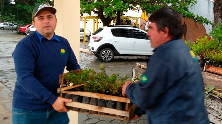 Semana do meio ambiente é marcada por entrega de mudas na Cerpalo